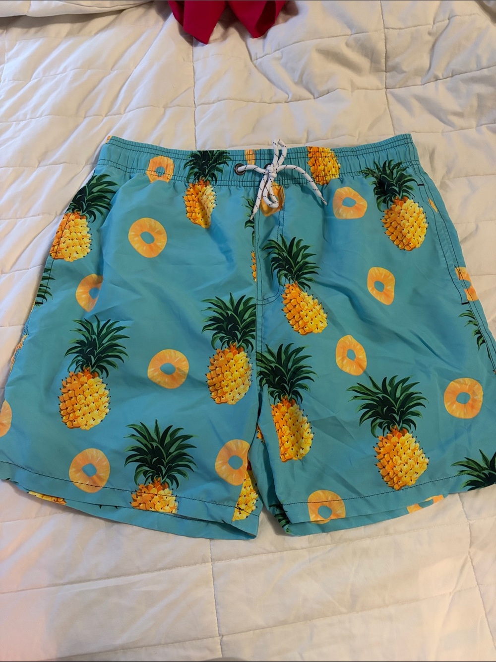 Men's Pineapple Print Swim Trunks - Turquoise